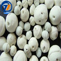Usine de céramique En Céramique D'alumine Perles Micro Poreux Blanc En Céramique Aluminium Boules