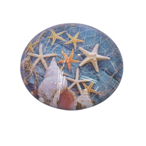 Bonito tablero blanco de estrellas de mar imán para nevera Imanes para refrigerador de vidrio - Product Image 5