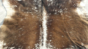 Cow Hide Rug - Product Image 2