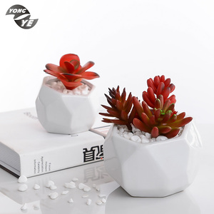 Trang Trí Nội Thất <span class=keywords><strong>Mini</strong></span> Mọng Nước Tùy Chỉnh Planter Vườn Trang Trí Nhỏ Gốm Hoa Chậu - Product Image 1
