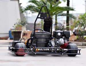 Di ottima qualità a buon mercato gare di <span class=keywords><strong>go</strong></span> <span class=keywords><strong>kart</strong></span> in vendita con 168cc 6.5hp motore - Product Image 2