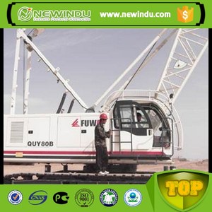 35 טון FUWA קטן מנוף סורק QUY35 עם באיכות גבוהה - Product Image 3