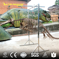 Esqueleto de Tiburón de Fibra de Vidrio a Tamaño Real My Dino AS017