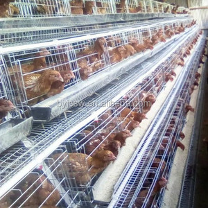 Tipo piramidale Deposizione delle uova di Pollo Gabbie di Batteria Per Poultry Farm - Product Image 3