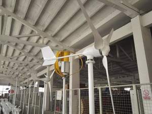 Moulin <span class=keywords><strong>à</strong></span> vent électrique 1000 w, générateur électrique - Product Image 6