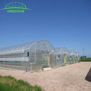 Hot koop enkele overspanning agrarische gebruikt commerciële kas - Product Image 3