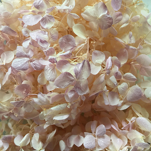 HFlora-Hortensia Multicolor natural a granel para el hogar, boda, tienda en línea, decoración, venta al por mayor - Product Image 6