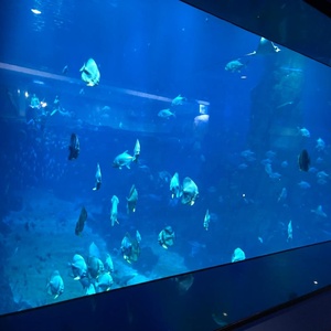 Cuốn sách Guinness củ<span class=keywords><strong>a</strong></span> kỷ lục thế giới mới dự án <span class=keywords><strong>b</strong></span>ảng Acrylic dày 650 mm - Product Image 2