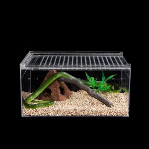 Terrario in Plexiglass per Rettili, Gabbia in Acrilico per Ragni, Lucertole, Gechi e <span class=keywords><strong>Serpenti</strong></span> - Product Image 3