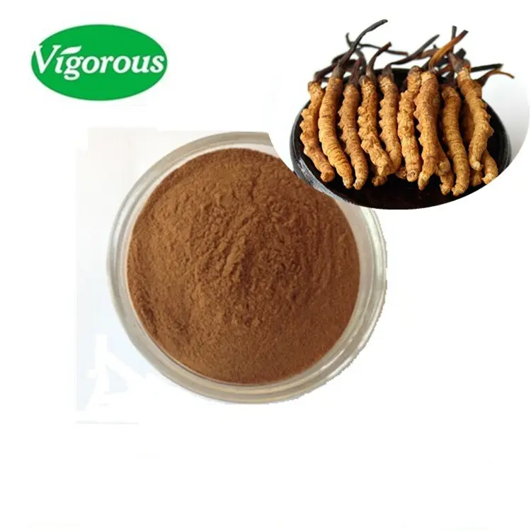 Pure natural health care supplements Organic cordyceps powder