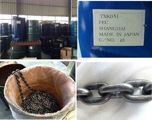 TXK2.5 + <span class=keywords><strong>2</strong></span>,5 ton <span class=keywords><strong>1</strong></span> cadena doble gancho <span class=keywords><strong>polipasto</strong></span> eléctrico de cadena - Product Image 3
