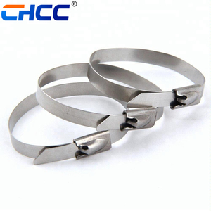 رباط كابل من الفولاذ المقاوم للصدأ 304 بمشبك معدني كروي ذاتي الغلق 4.6*300 - Product Image 2