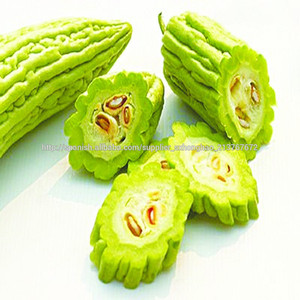 Extracto de melón amargo Natural - Product Image 1