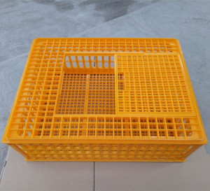 High quality plastic poultry transport crate