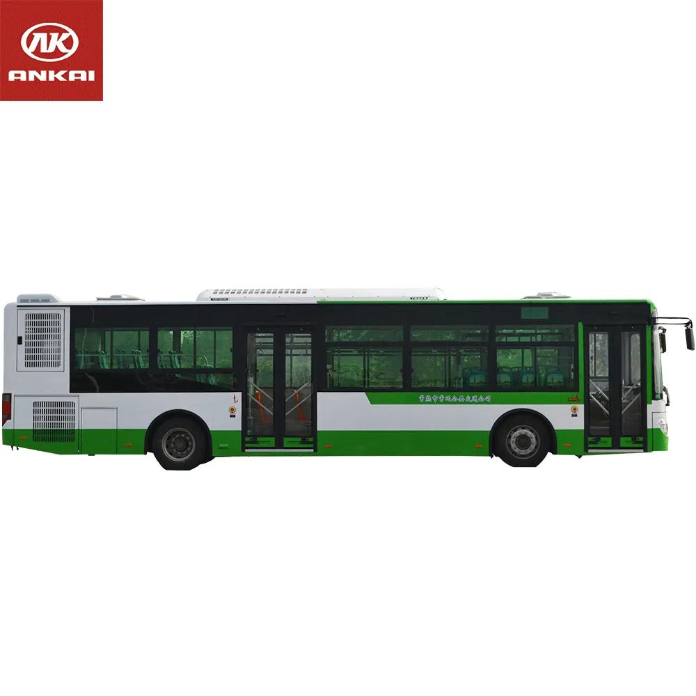 Kunden spezifischer 12 m Diesel bus