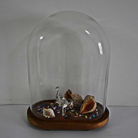 Dôme en verre ovale antique sur socle en bois Décoration d'intérieur classique Affichage mural