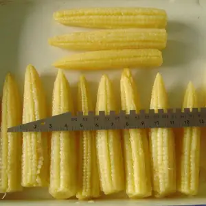 fresh pack canned food canned young baby corn spears in brine in water