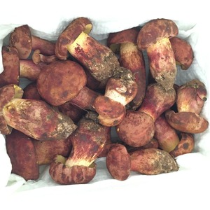 Detan salvaje <span class=keywords><strong>boletus</strong></span> setas por mayor precios - Product Image 4