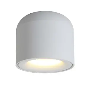Aisilan Indoor Nordic Cilinder Dimbare Spot Licht Voor Gang Woonkamer Plafond Cob Surface Mount Led Downlight