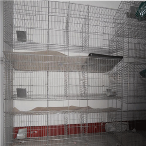 Hoge Kwaliteit Gelast Gaas Mooie Commerciële Konijnenkooien Prijs - Product Image 2