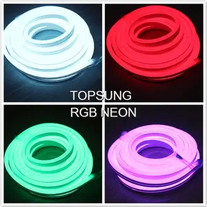 Natale 14*26mm colorific neon led- flex luce rgb luci