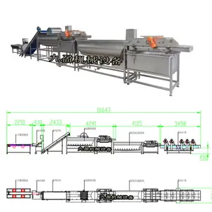 गुआंगज़ौ मसालेदार ककड़ी प्रसंस्करण लाइन/मशीनरी सब्जी सफाई और वाशिंग लाइन मशीन