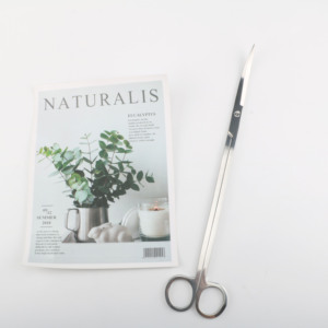 Ciseaux d'<span class=keywords><strong>aquarium</strong></span> en acier inoxydable Jusuo, polis miroir, ciseaux courbés pour le nettoyage et la taille des plantes d'<span class=keywords><strong>aquarium</strong></span>, aquascaping - Product Image 3