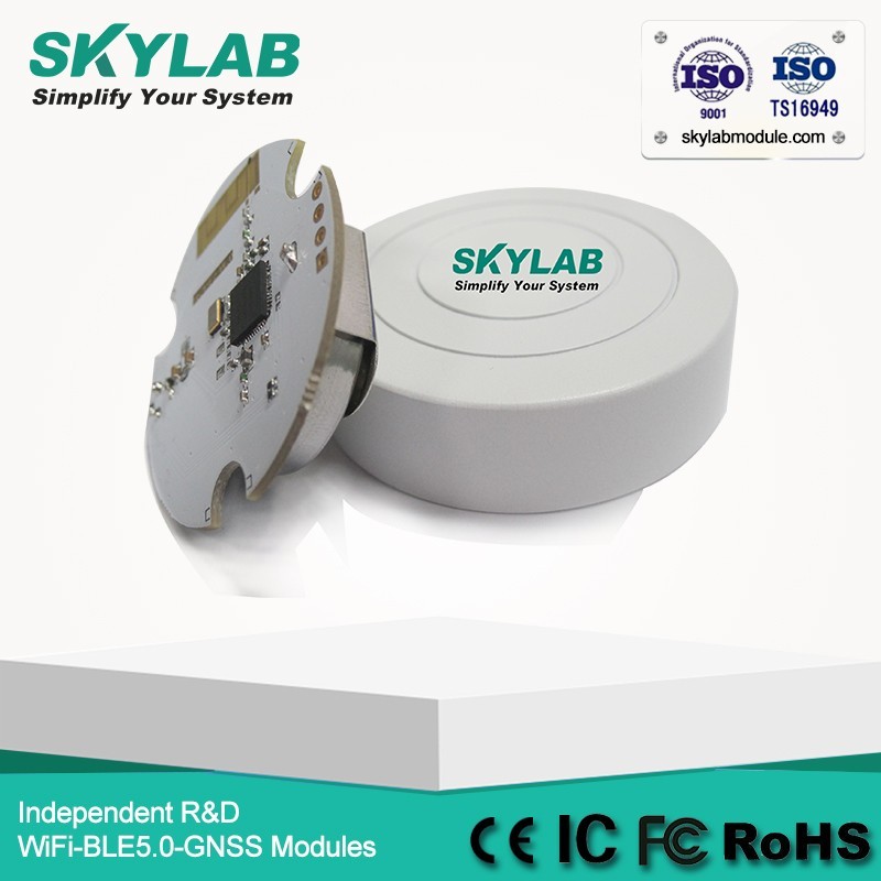 SKYLAB Faible Coût VG01 Programmable UUID/Grands/Mineur nRF51822 Petit Bluetooth Balise Récepteur
