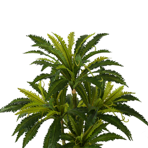 1.9m nid fougère plastique fausse fougère plante artificielle pour intérieur décor à la maison - Product Image 2