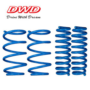DS064 Molla di Abbassamento Universale in Acciaio Inox per Sospensioni Auto BMW Serie 3 - Product Image 2