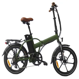 QUEENE/ホットセール20インチ36V250W350W電動自転車小型折りたたみ電動自転車
