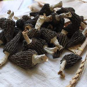 Harga Pabrik Jamur Morel Kering Jamur Morel Kering untuk Dijual - Product Image 4