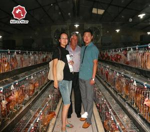 Gabbie per polli professionali multistrato personalizzate per broiler e <span class=keywords><strong>pulcini</strong></span> - Product Image 6