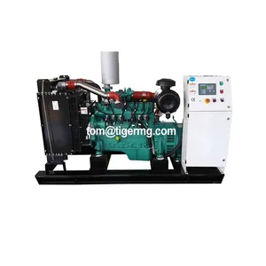 Powered By Cummins 50kw Chp Nồi Hơi Gỗ Chips Pallet Gạo Husk Biomass Gasifier Gas Generator