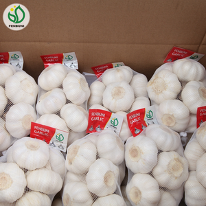 Giá Rau Củ Tươi Tỏi, Gừng, Hành Tây - Product Image 3