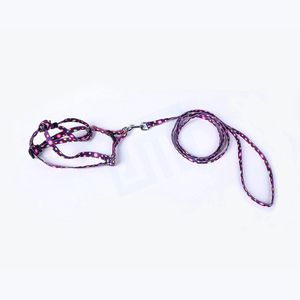 GMTPET Vente en gros d'usine pour animaux de compagnie OEM luxe double mains libres en cuir avec lumière led vidéo élastique rétractable corde collier laisse pour chien - Product Image 3