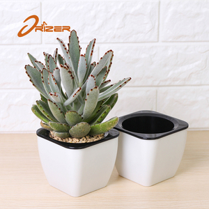 2018 mejor envío muestra plástico macetas para <span class=keywords><strong>plantas</strong></span> de vivero para planta suculenta - Product Image 1
