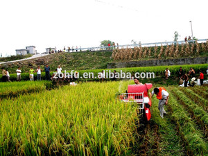 Máy Thu Hoạch Lúa Gạo Kết Hợp/Máy Thu Hoạch Mini - Product Image 6