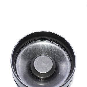 Lève-Personne hydraulique Poussoirs Suiveur Pour le Scarabée de VW Jetta <span class=keywords><strong>Golf</strong></span> Passat Touareg 1100677,1426035,038109309A,038109309B,038109309C - Product Image 4