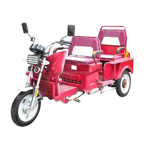 Canada Legal Pedal type E Trike adult 3 wheel bike Lithium battery electric tricycle