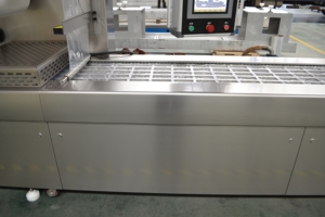 Máquina Automática de Envasado al Vacío para Filetes de Pescado, Tilapia, Caballa y Pangasius - Product Image 5