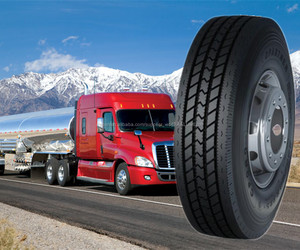 295/80R22.5 COPARTNER HAIDA china fabrica llantas neumatico caucho cubierta de camion LISA GALLETA - Product Image 1