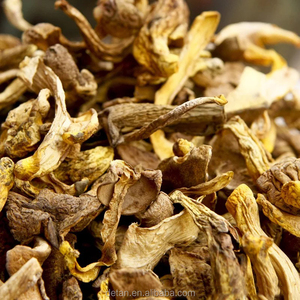 Detan salvaje rebanada seca <span class=keywords><strong>boletus</strong></span> - Product Image 4