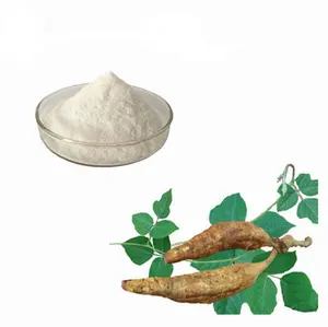 Pueraria Extract/Kudzu Root Extract Powder Radix Puerariae Extract