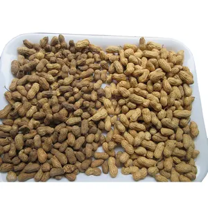 Peanut Cleaning Machine Agriculture Machinery Equipment Groundnut Separating Machine Color Sorter For Peanut Cleaning And Grading