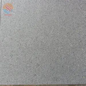 Grigio scuro granito fiammato superficie G654 granito vialetto pavimentazione