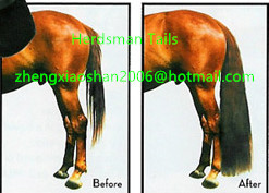 100cm uzun doğal döngü tüm renkler at gösterisi kuyruk uzatma konik yanlış kuyruk yapılmış gerçek at kuyruğu kıllar satılık - Product Image 6