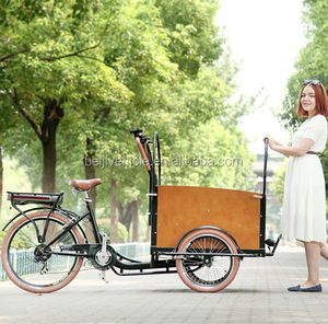 Cadre de vélo de voyage flottant à <span class=keywords><strong>3</strong></span> <span class=keywords><strong>roues</strong></span>, offre spéciale - Product Image 3