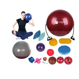 25厘米 30厘米健身房普拉提球工厂出售 PVC 彩色塑料球