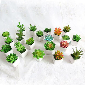 Juego de 4 <span class=keywords><strong>plantas</strong></span> suculentas <span class=keywords><strong>artificiales</strong></span>, miniplantas verdes surtidas para decoración interior del hogar <span class=keywords><strong>con</strong></span> macetas cuadradas de cerámica blanca - Product Image 2
